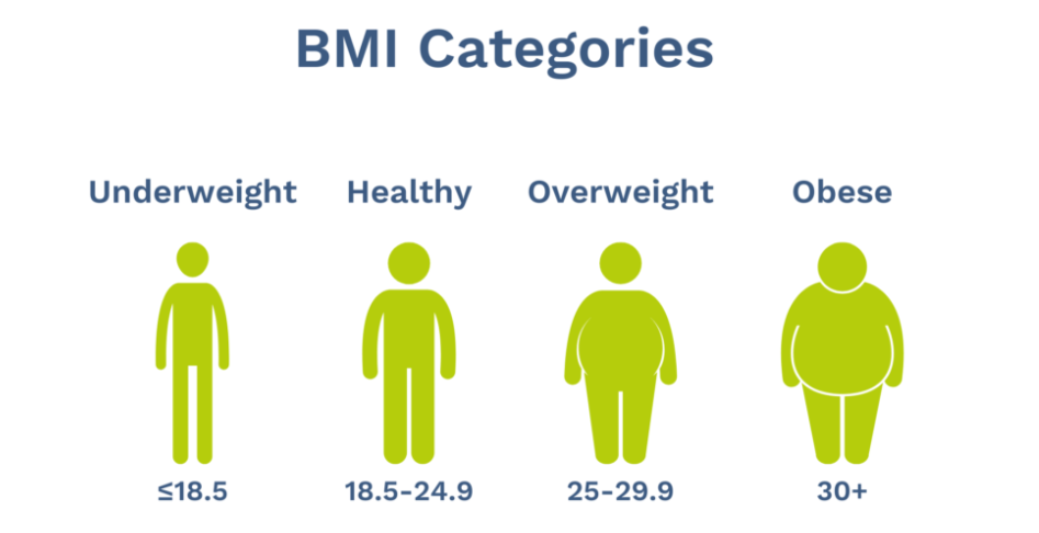 BMI categories underweight healthy overweight obese BMI categories underweight healthy overweight obese