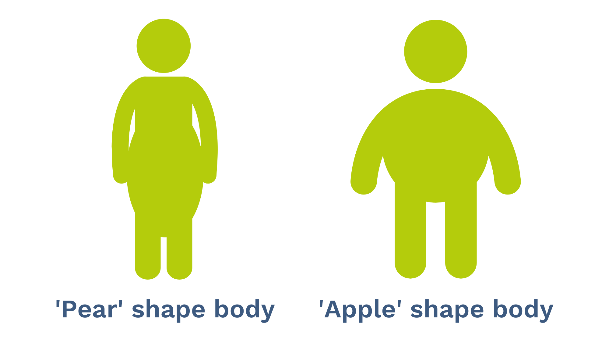 waist-to-hip ratio. waist-to-hip ratio.