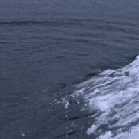 sustainable weight loss