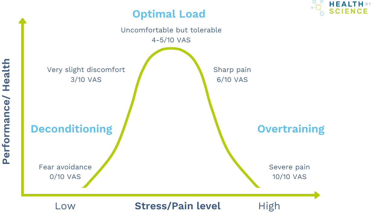 physiotherapy exercises for shoulder pain physiotherapy exercises for shoulder pain