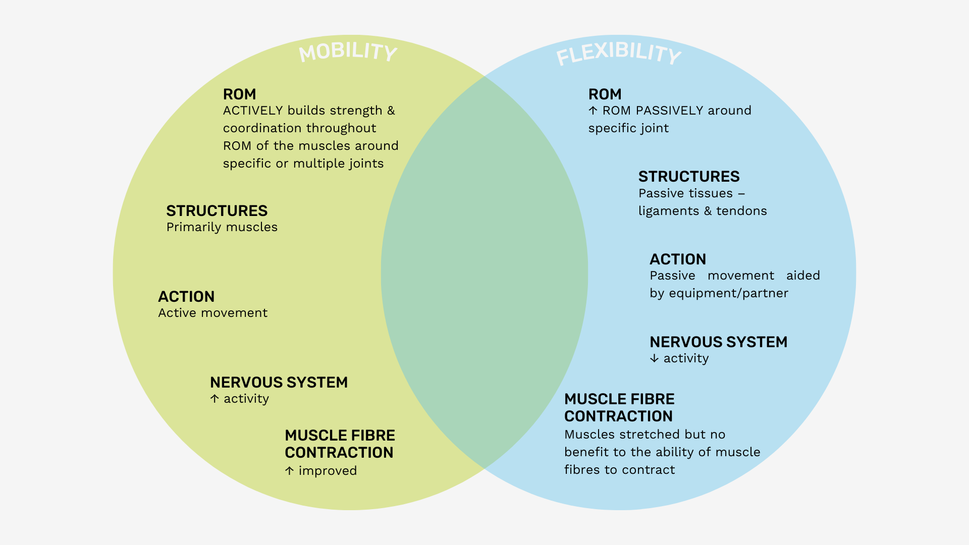 mobility and flexibility program pdf mobility vs flexibility